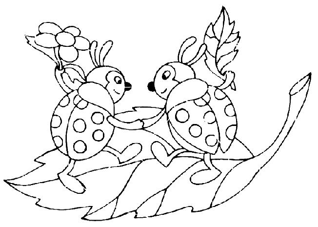 Biedronka kolorowanki
